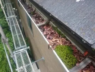 落ち葉が滞留している雨樋